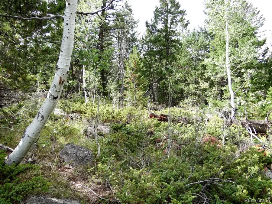 115 Wenro Court, Red Feather Lakes, CO 80545 - #3