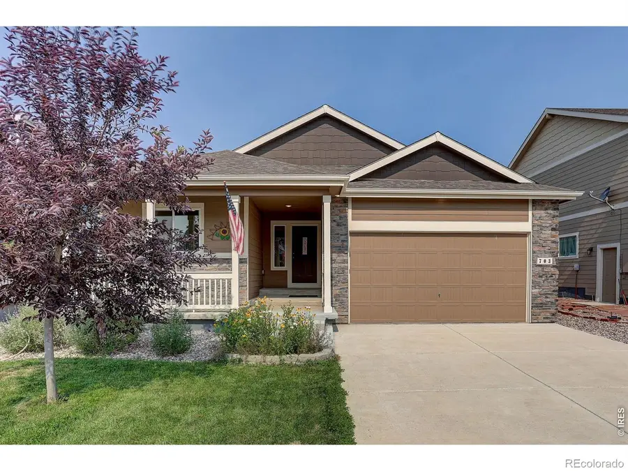703 Cavern Street, Severance, CO 80550 - #2