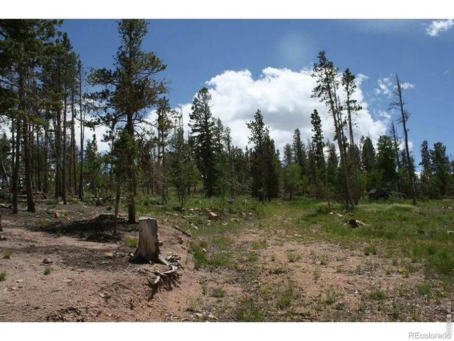 5713 N County Road 73c, Red Feather Lakes, CO 80545 - #3