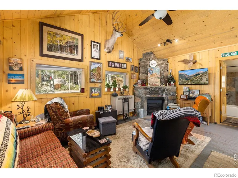 945 Klondyke Avenue, Nederland, CO 80466 - #2
