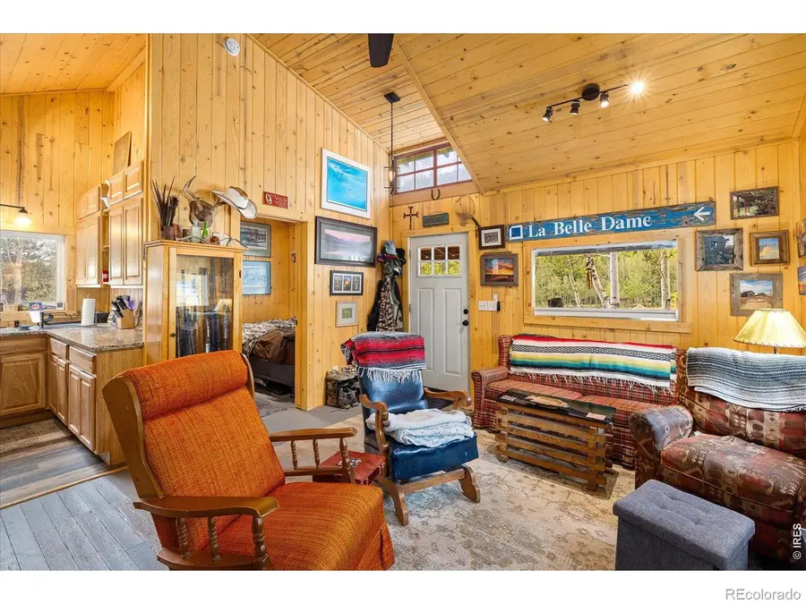 945 Klondyke Avenue, Nederland, CO 80466 - #3