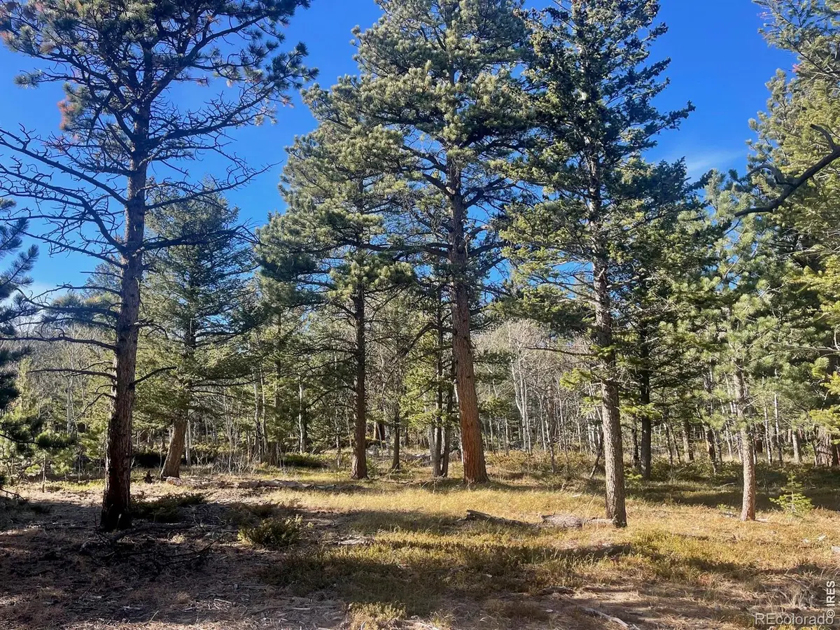 399 N Skinner Road, Allenspark, CO 80510 - #1