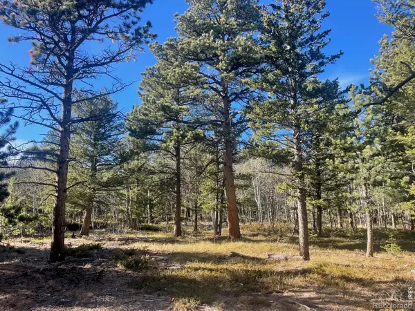 399 N Skinner Road, Allenspark, CO 80510