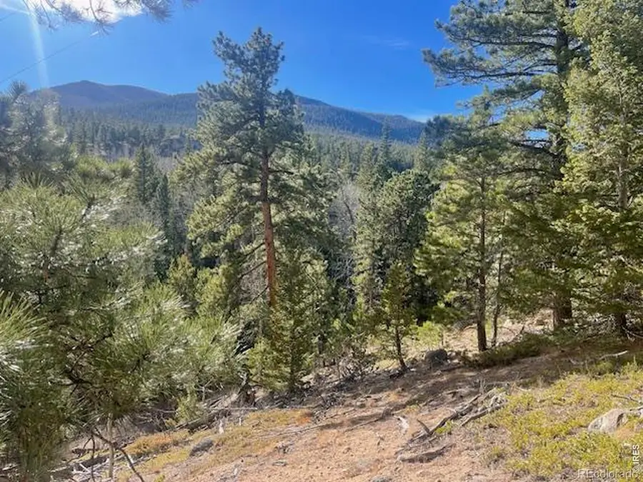 399 N Skinner Road, Allenspark, CO 80510 - #2