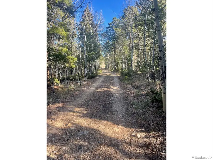399 N Skinner Road, Allenspark, CO 80510 - #3