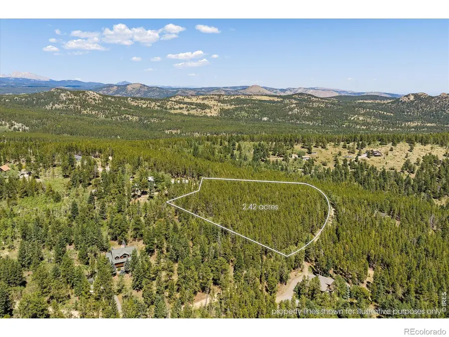 0 Spruce Way, Nederland, CO 80466 - #3