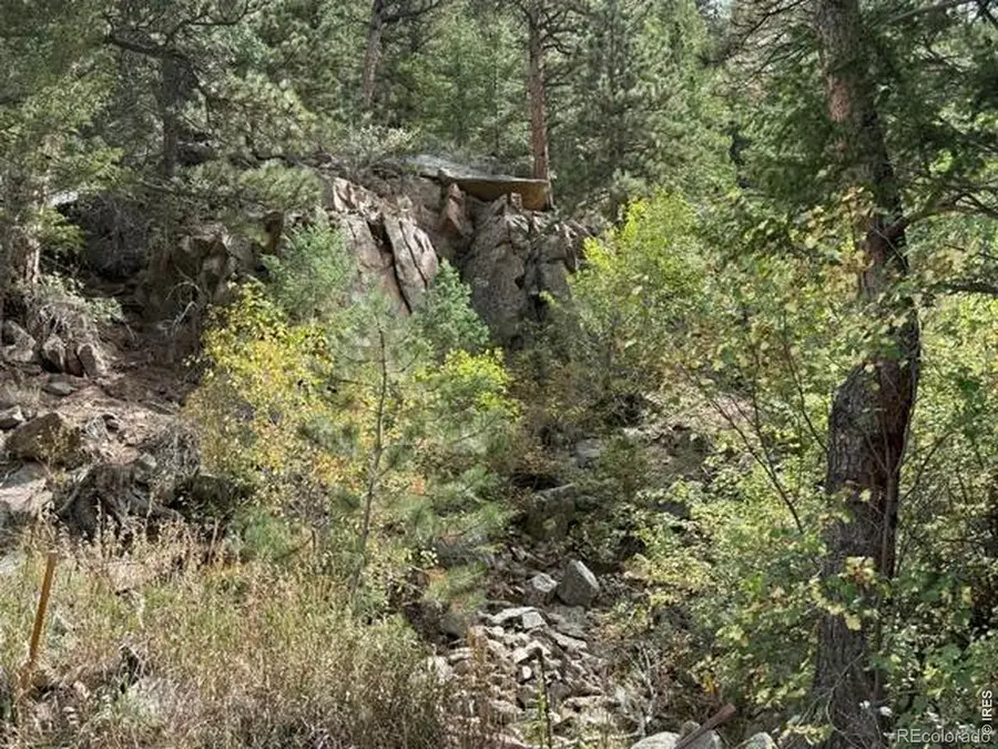 555 Riverside Drive, Lyons, CO 80540 - #2