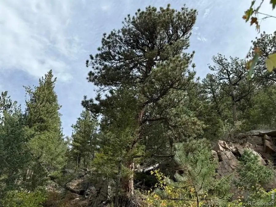 555 Riverside Drive, Lyons, CO 80540 - #3