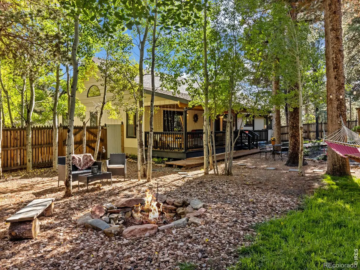 11982 Peak To Peak Drive, Allenspark, CO 80510 - #1
