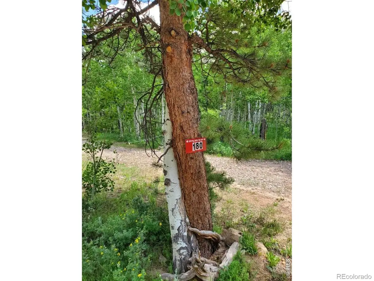 180 Yuki Drive, Red Feather Lakes, CO 80545 - #1