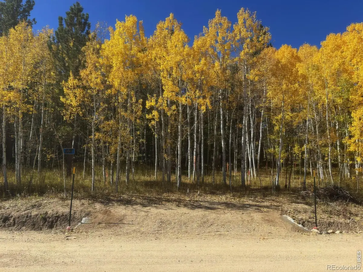75 Overland Drive, Ward, CO 80481 - #1