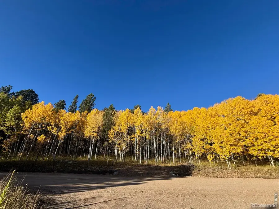 75 Overland Drive, Ward, CO 80481 - #2