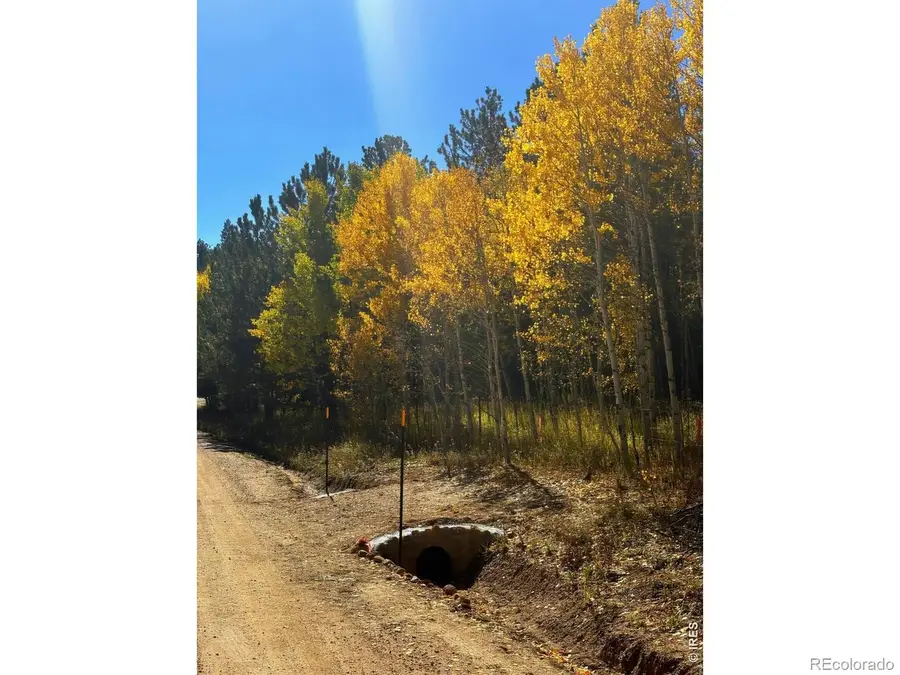 75 Overland Drive, Ward, CO 80481 - #3