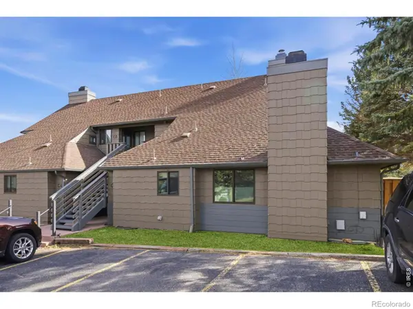 1010 S Saint Vrain #3, Estes Park, CO 80517