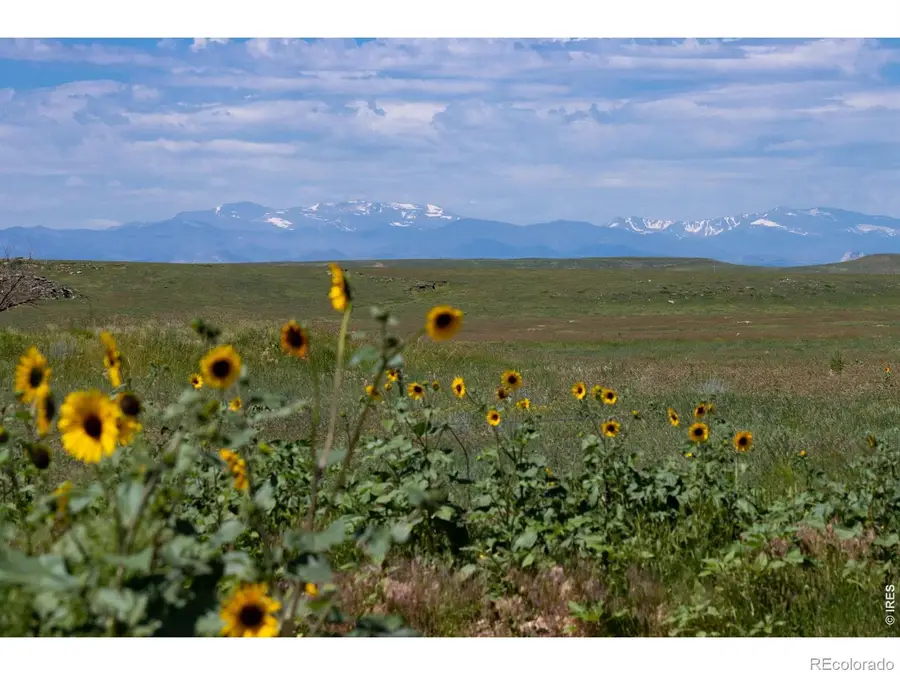 4 Tbd County Road 21, Carr, CO 80612 - #3