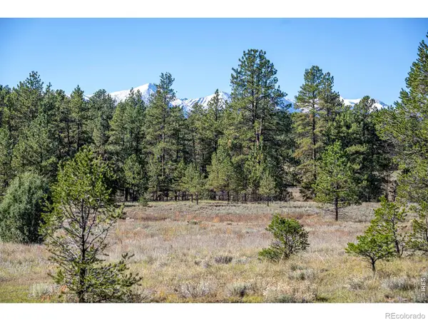 1563 19th, Cotopaxi, CO 81223