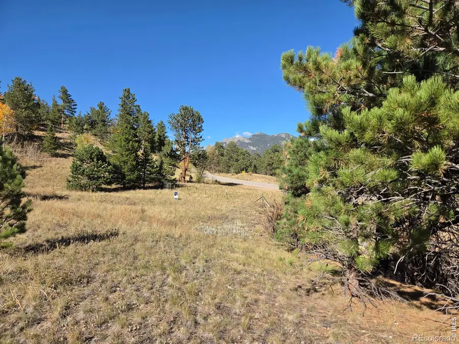 12190 Highway 7, Allenspark, CO 80510 - #3