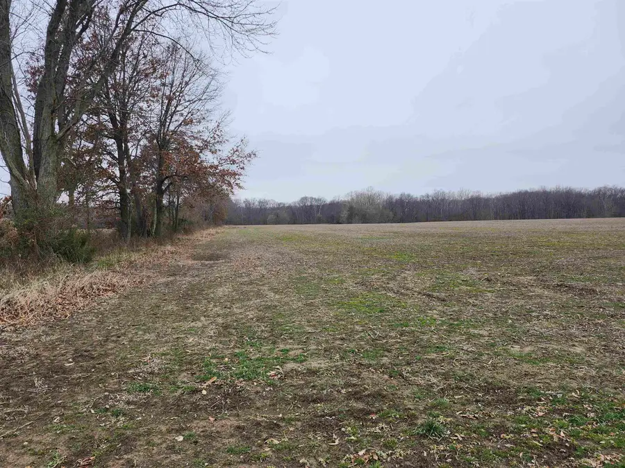 0 N Deal Lane, Woodlawn, IL 62898 - Image #2