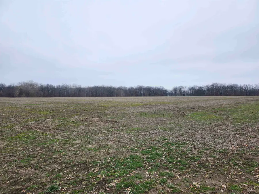 0 N Deal Lane, Woodlawn, IL 62898 - Image #3