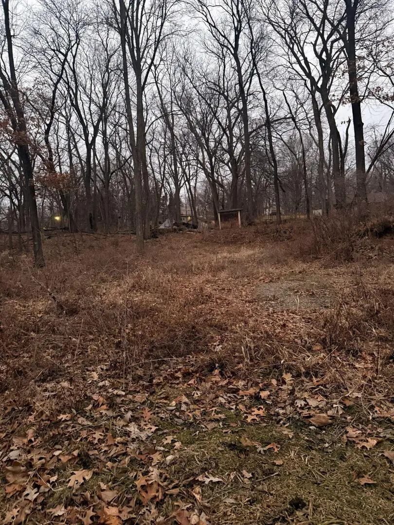 310 Ravine St Street, Port Byron, IL 61275 - Image #1