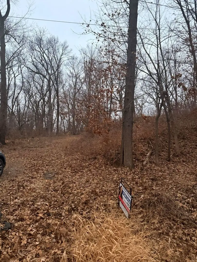 310 Ravine St Street, Port Byron, IL 61275 - Image #2