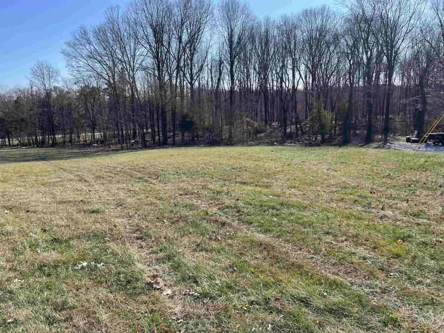 TBD Tulip Lane, Vienna, IL 62960 - Image #3