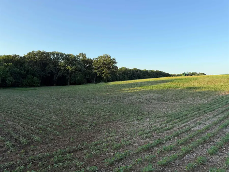 1357 N 2250th Avenue, Mendon, IL 62351 - #3