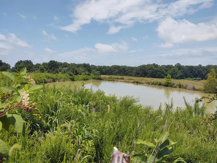000 Birdwell Road, New Burnside, IL 62967 - #2