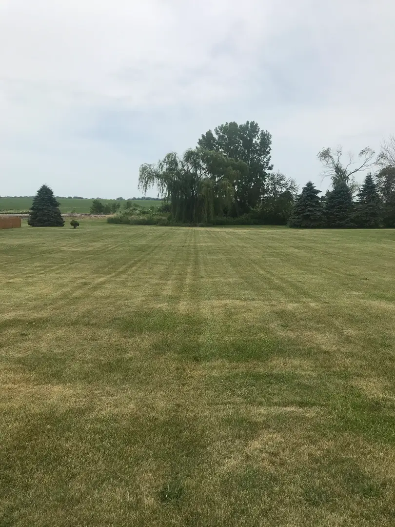 3411 E Cleveland Street, Ladd, IL 61329 - #1