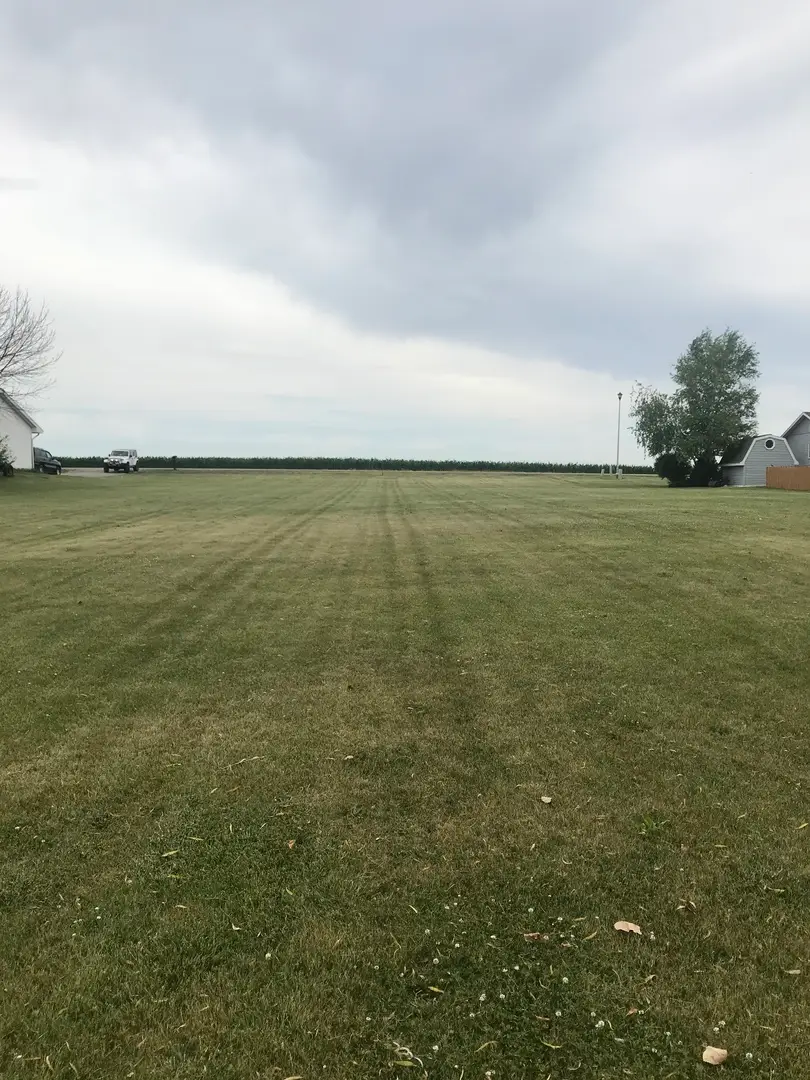 3411 E Cleveland Street, Ladd, IL 61329 - #2