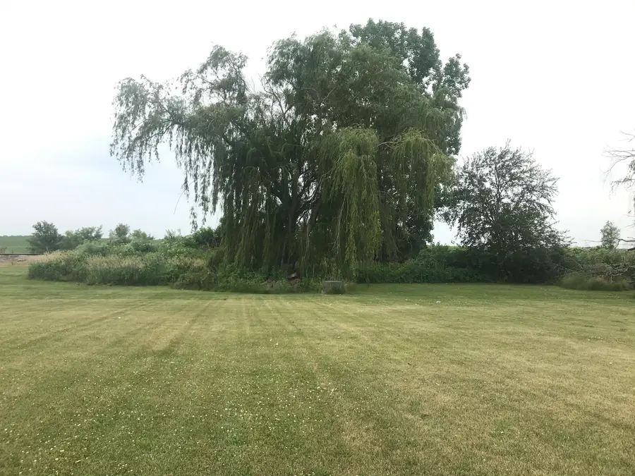 3411 E Cleveland Street, Ladd, IL 61329 - #3