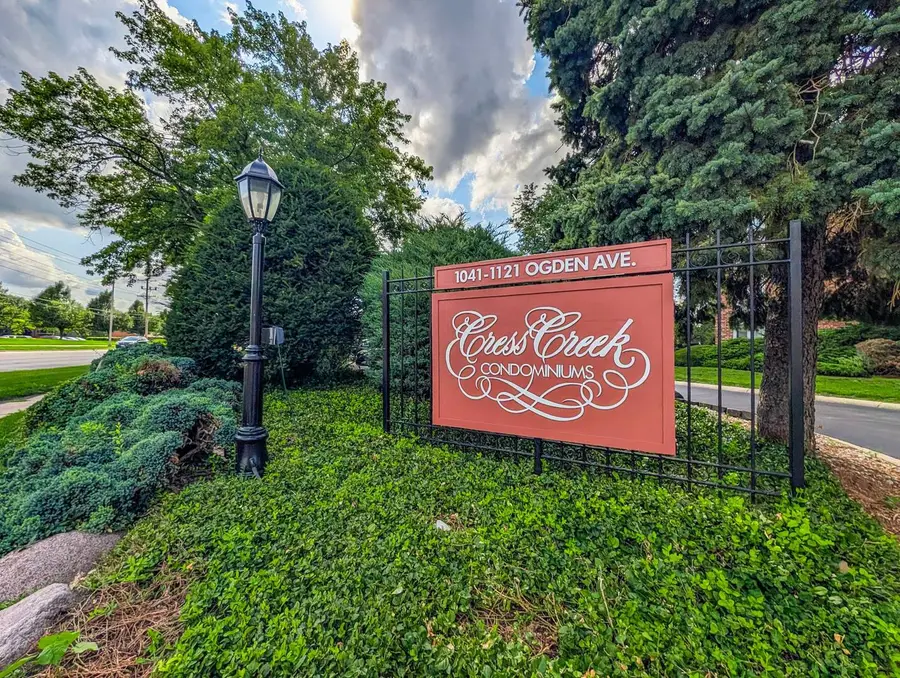 1121 W Ogden Avenue #165, Naperville, IL 60563 - #3