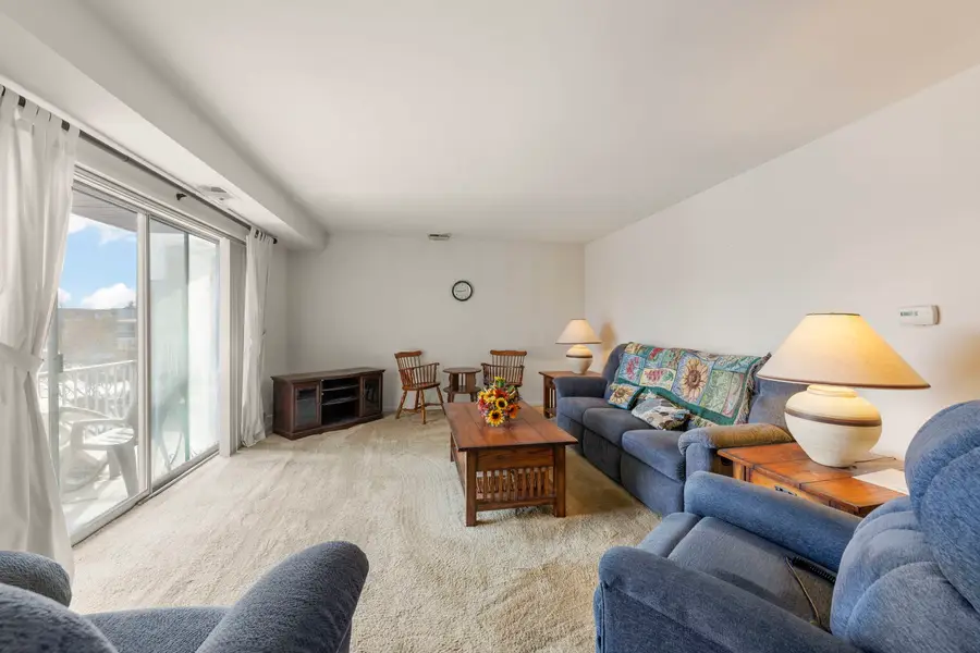 245 S Park Lane #321, Palatine, IL 60074 - Image #3