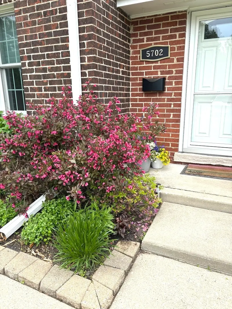 5702 S Park Avenue, Hinsdale, IL 60521 - #3