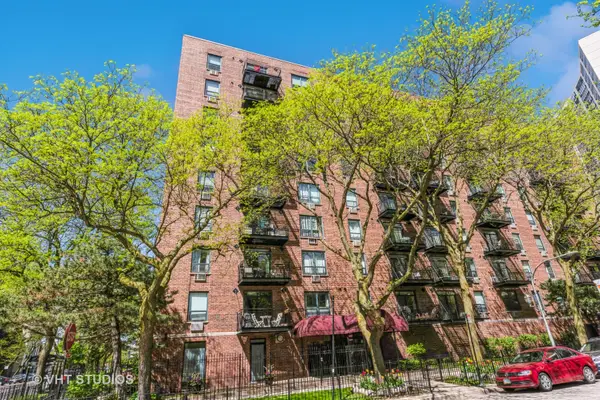 3900 N Pine Grove Avenue #405, Chicago, IL 60613