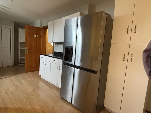 3159 S Lowe Avenue, Chicago, IL 60616 - Image #2