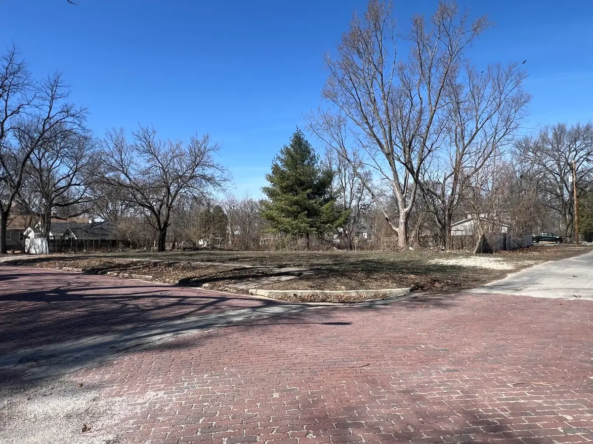 229 E Vine Street, Piper City, IL 60959 - Image #1