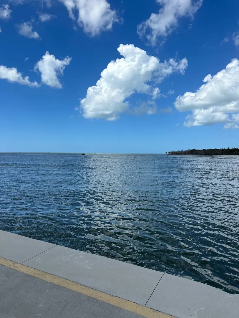 300 La Peninsula Boulevard #300-B, Naples, FL 34113 - #3