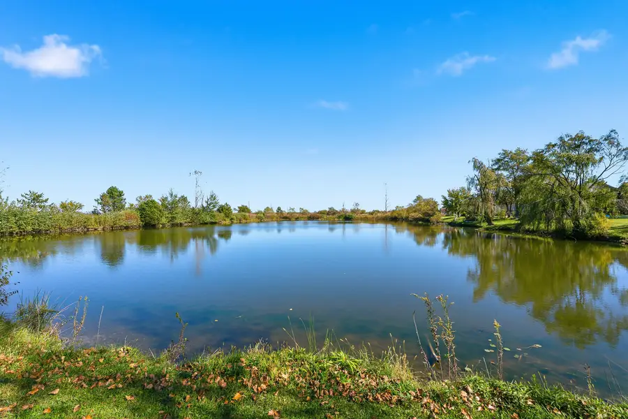 4526 W Azalea Avenue, Monee, IL 60449 - #2