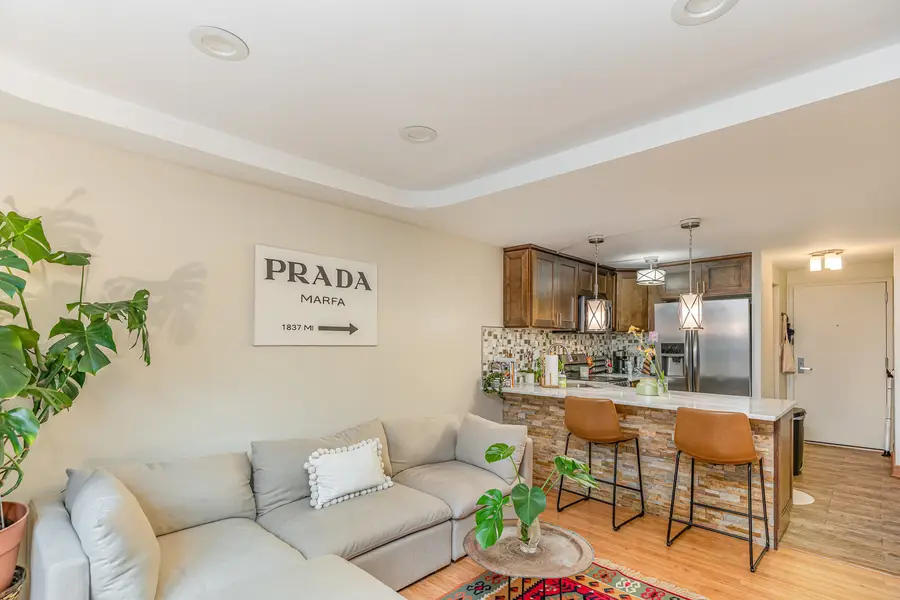 1221 N Dearborn Street #207N, Chicago, IL 60610 - Image #2