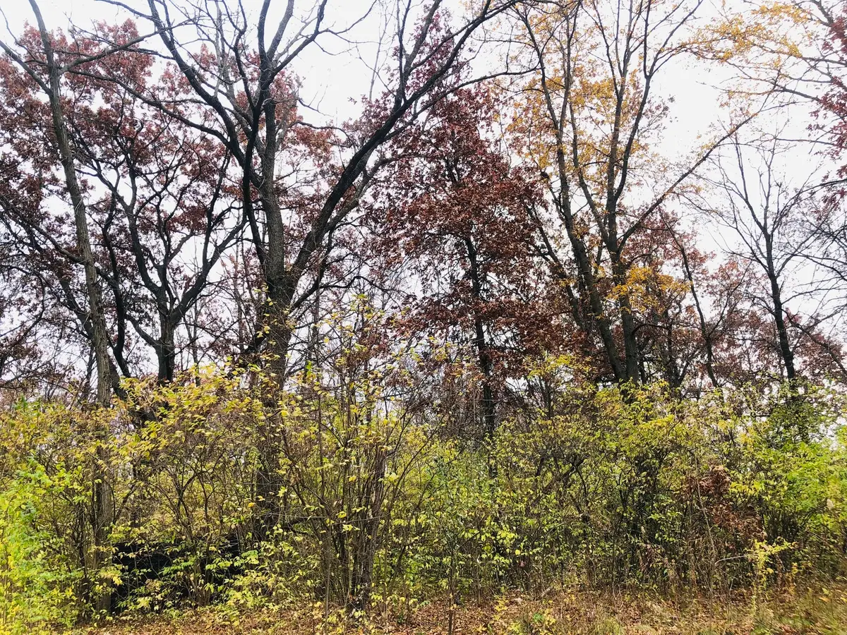 704 Echo (lot 21) Trail, Marengo, IL 60152 - Image #1