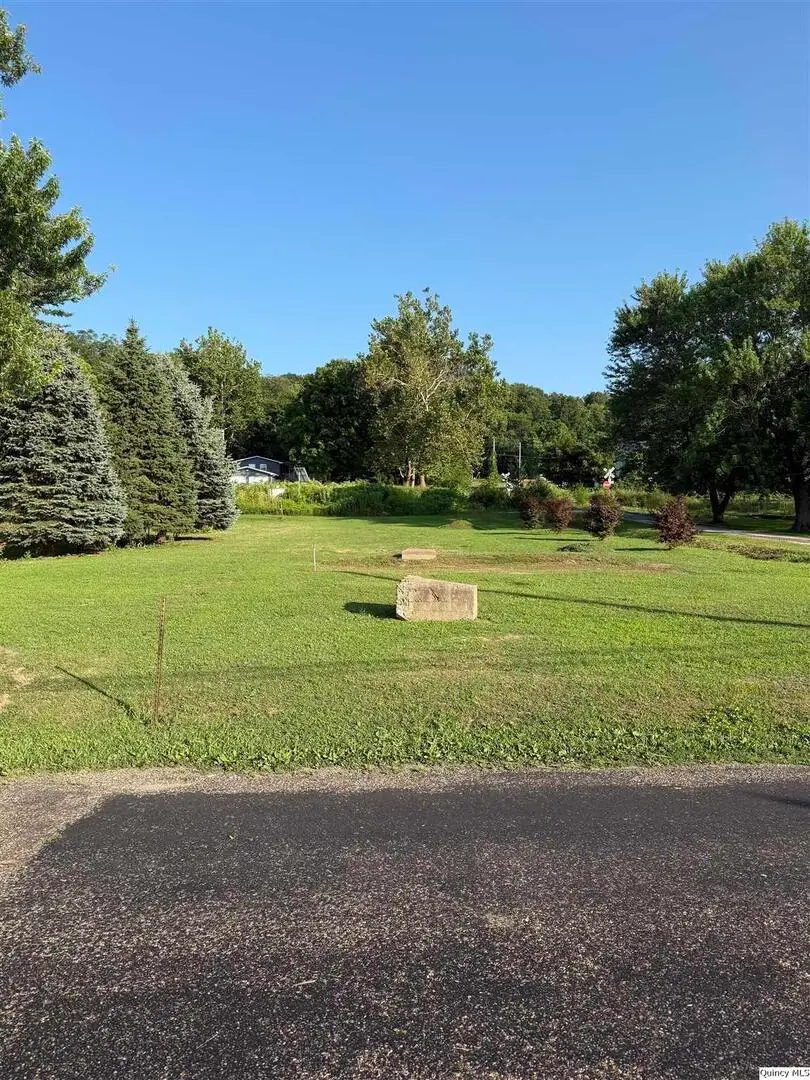 600 E 1st, Dallas City, IL 62330 - Image #3