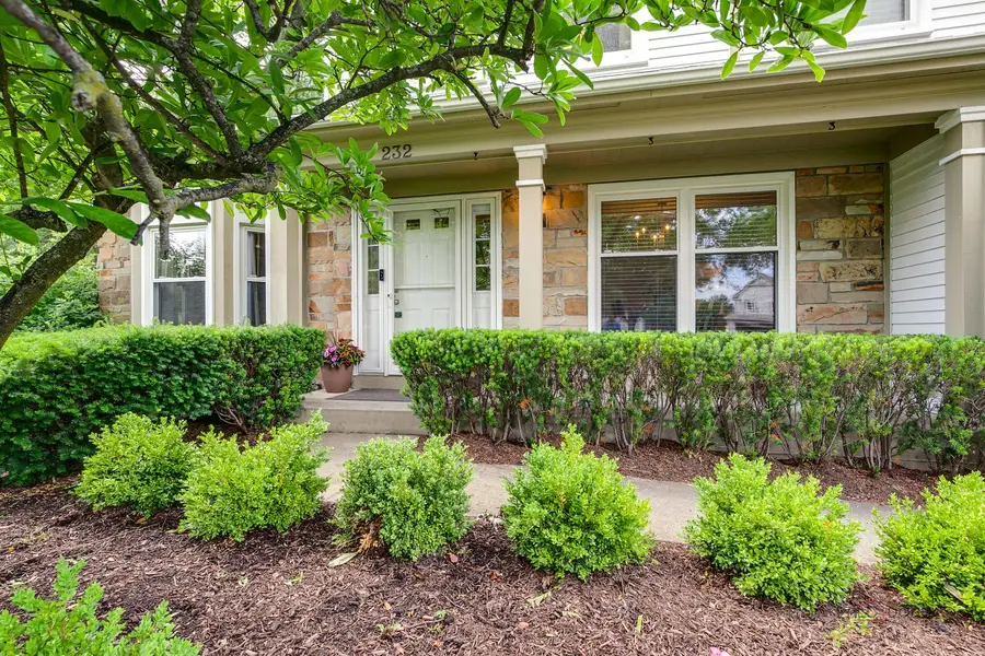 232 Stanton Court W, Buffalo Grove, IL 60089 - #3