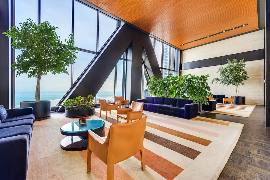 175 E Delaware Place #4625-4601, Chicago, IL 60611 - #2