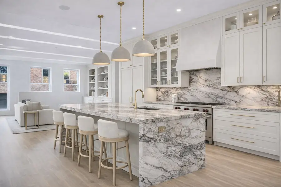 3523 N Bosworth Avenue, Chicago, IL 60657 - Image #2