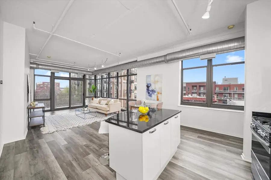 212 E Cullerton Street #504, Chicago, IL 60616 - Image #3