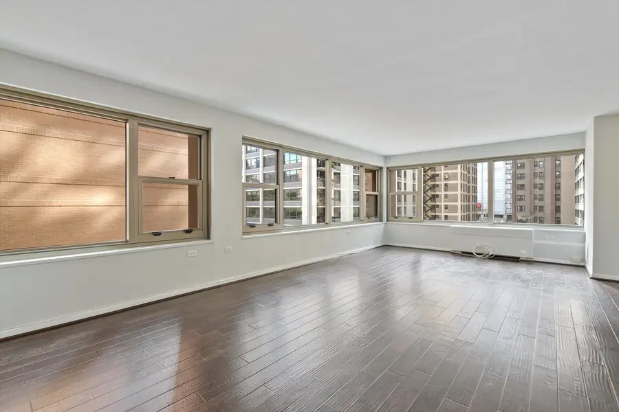 247 E Chestnut Street #1204, Chicago, IL 60611 - Image #2