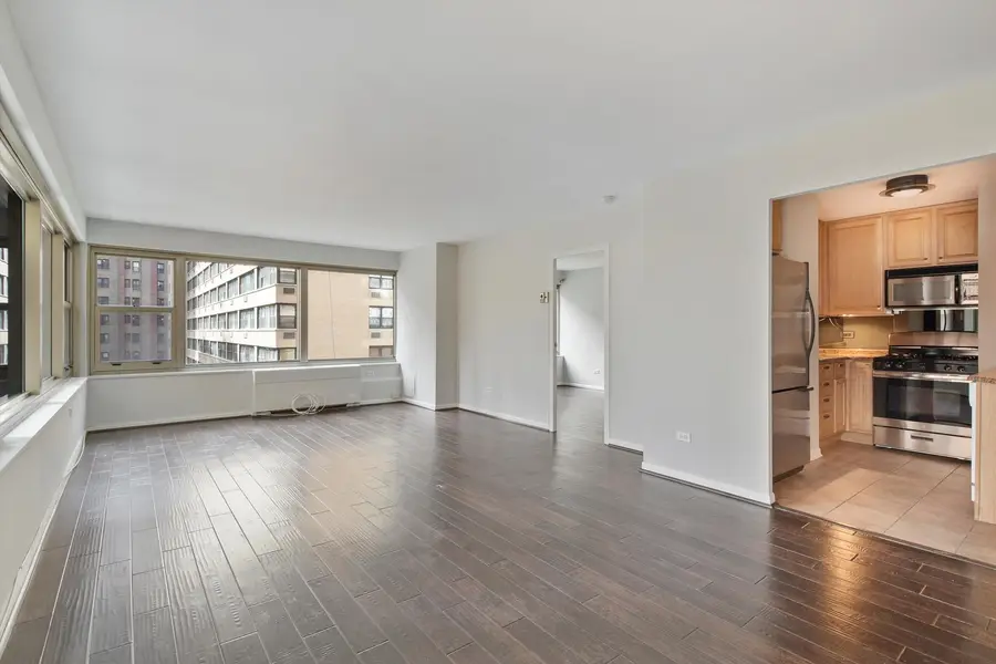 247 E Chestnut Street #1204, Chicago, IL 60611 - Image #3