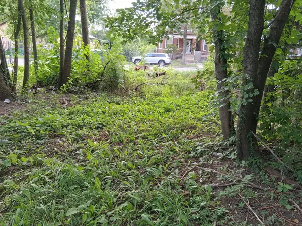 7149 S Champlain Avenue S, Chicago, IL 60619