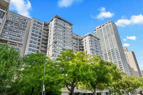3440 N Lake Shore Drive #10B, Chicago, IL 60657